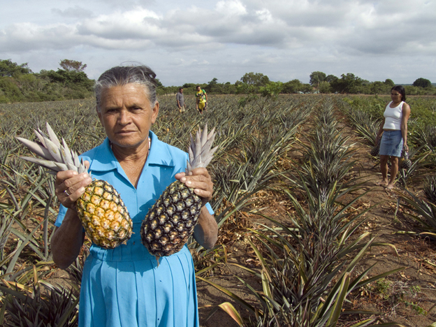 agricultura_familiar