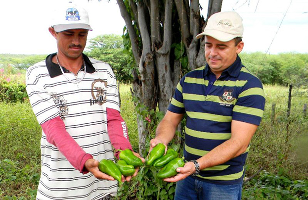 Agropecuarista