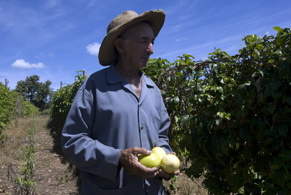 Agricultor_satisfeito