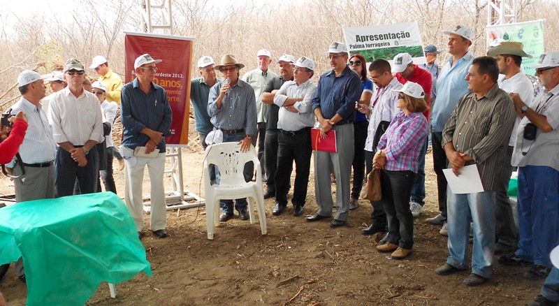 Ato_palma_forrageira