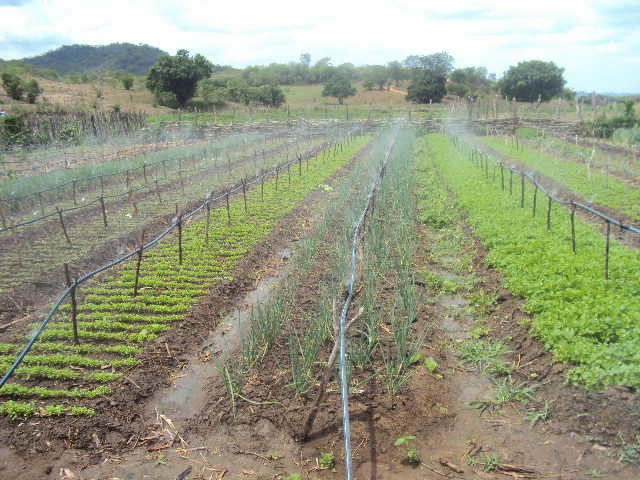 ASSARÉ INTERCÂMBIO