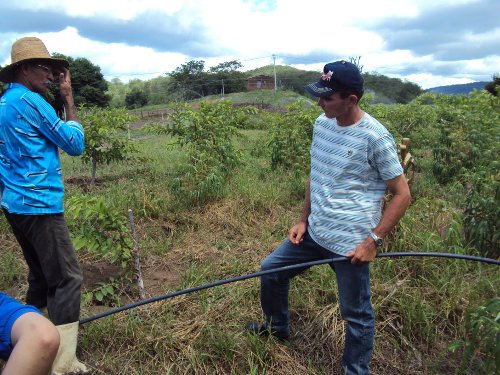 FOTO VISITA TÉCNICA2