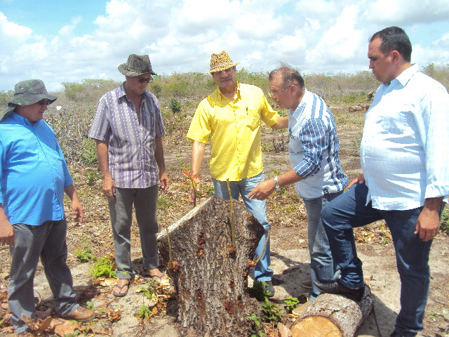 AÇÃO EXTENSIONISTA DOIS