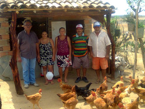 GALINHA CAIPIRA DOIS