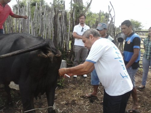 CURSO CAPACITAÇÃO DOIS