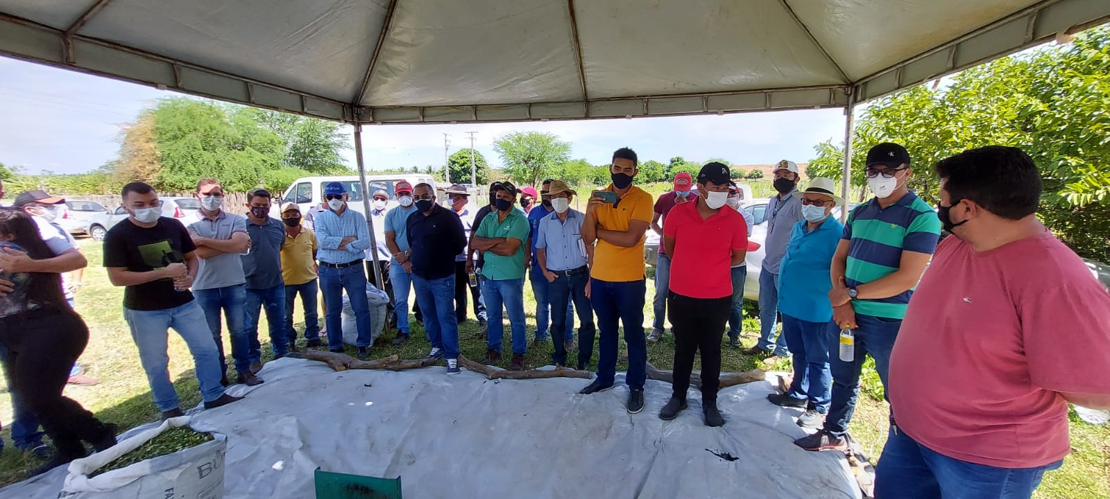 Mauriti: segundo dia de campo sobre mandioca adensada reúne agricultores do Cariri
