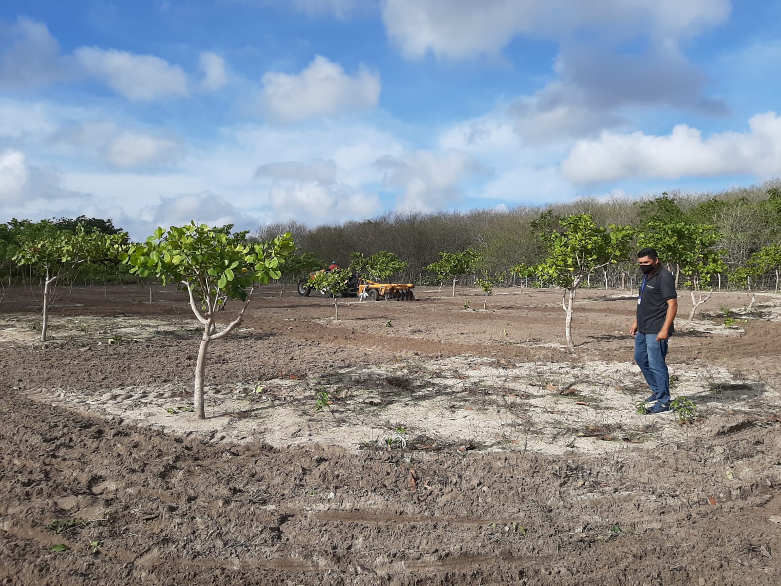 Itapipoca (CE): Ematerce presta serviço de ATER e intensifica as atividades com apicultor e agricultor