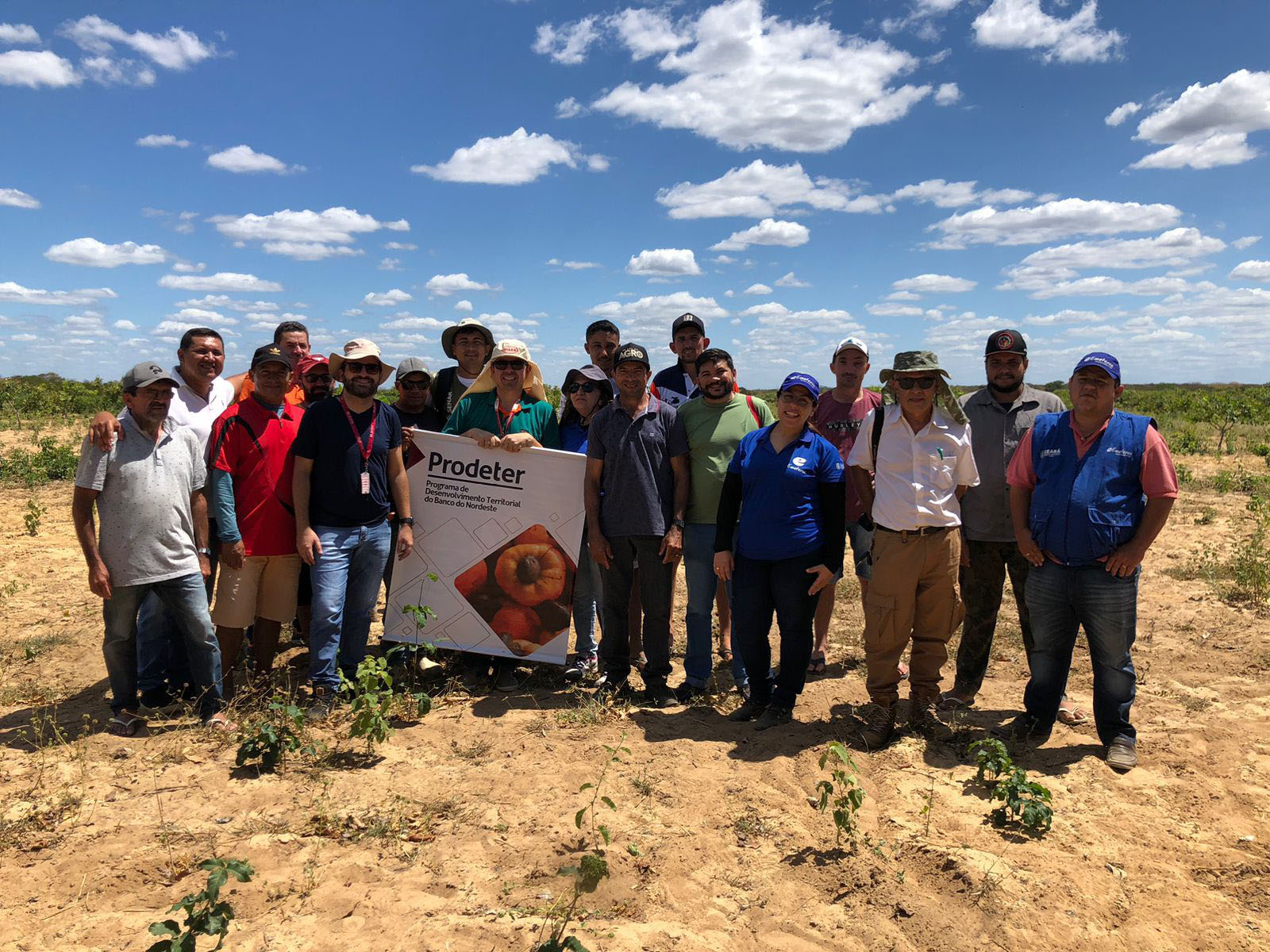 Ematerce participa de Dia de Campo sobre prática de bioestimulante em cajueiro